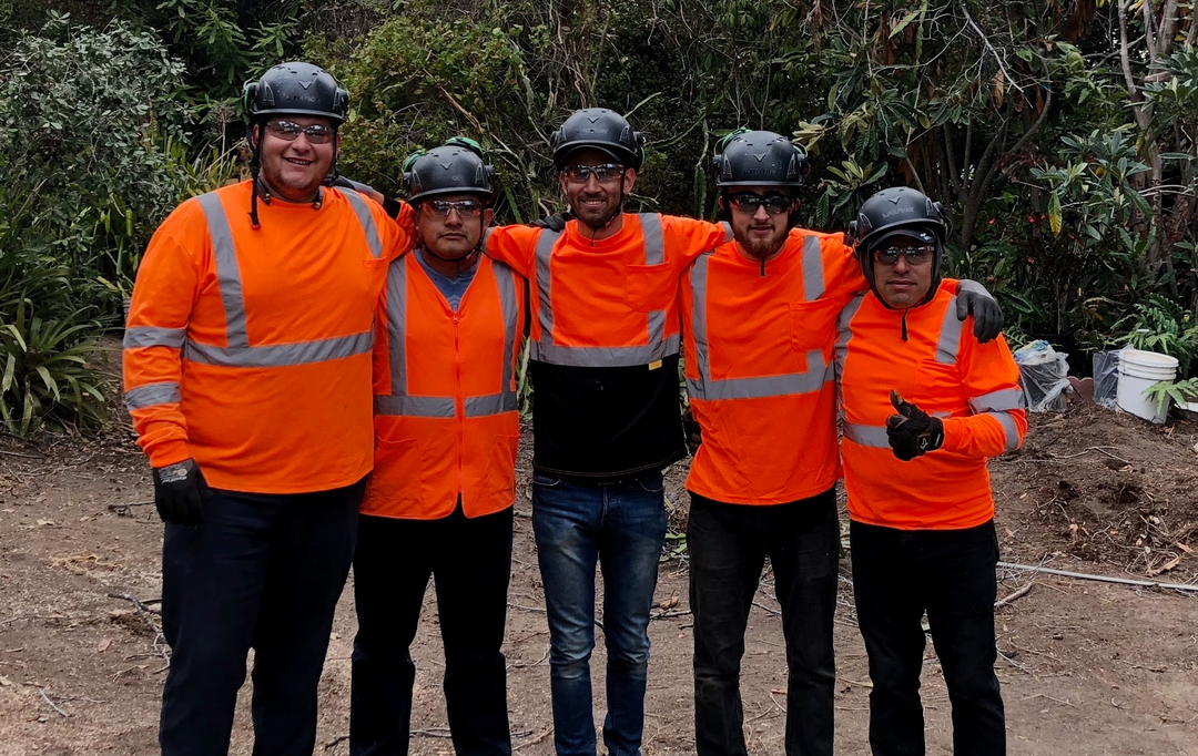 Higuera Tree Care - Chula Vista, CA
