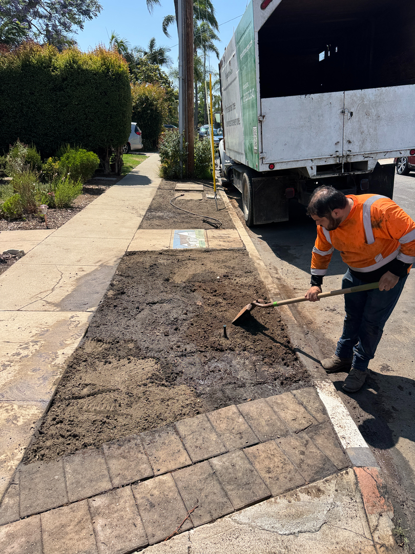 Higuera Tree Care - Chula Vista, CA