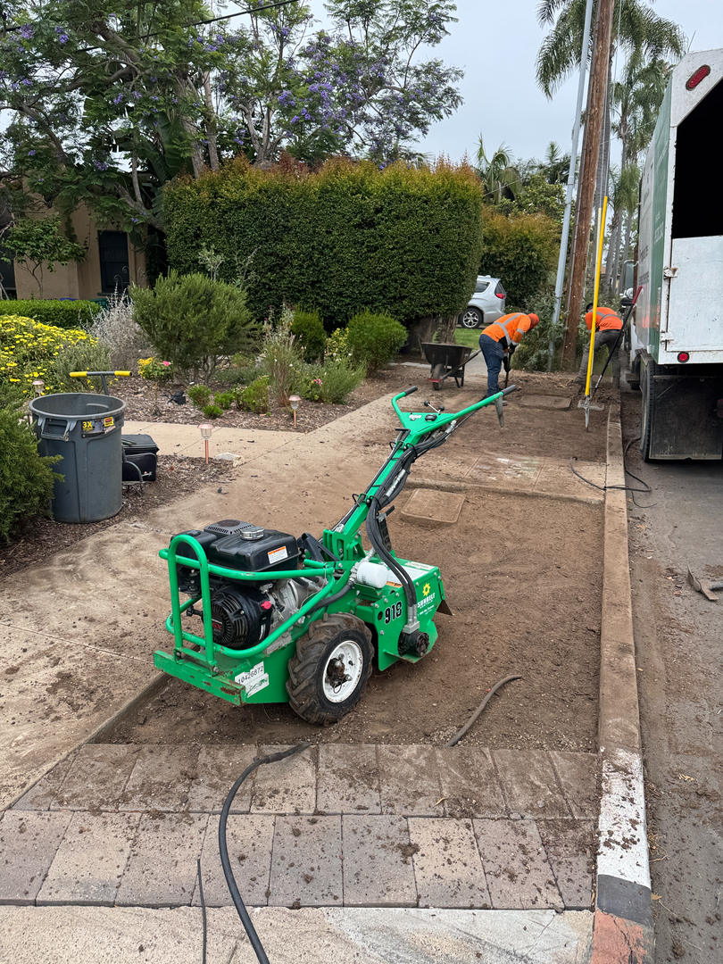 Higuera Tree Care Image