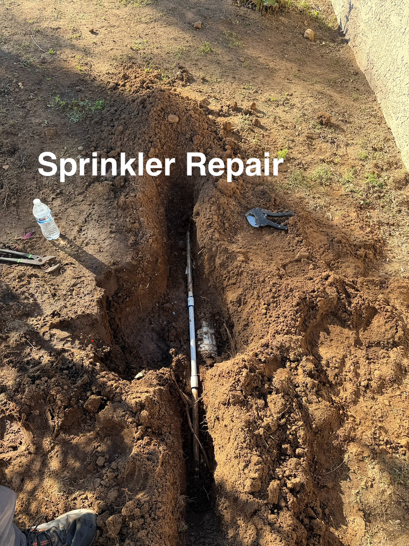 Higuera Tree Care - Chula Vista, CA