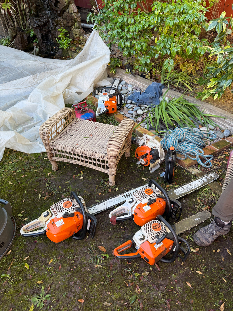 Higuera Tree Care - Chula Vista, CA