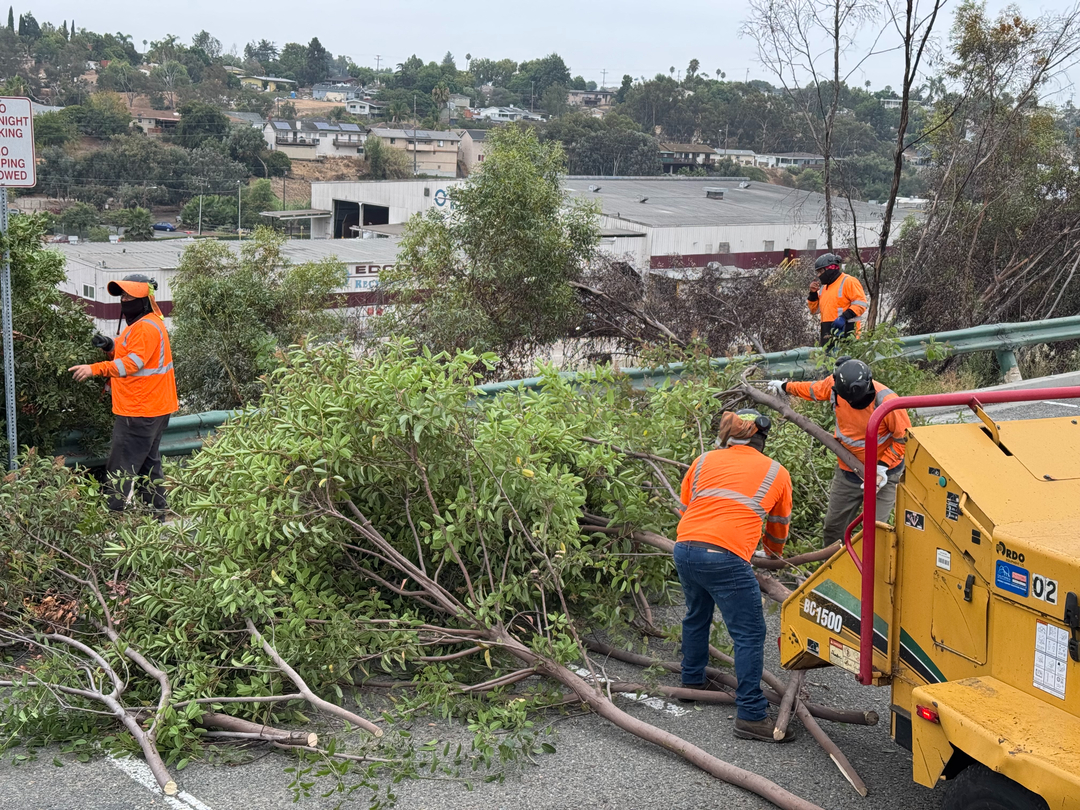 Higuera Tree Care - Chula Vista, CA