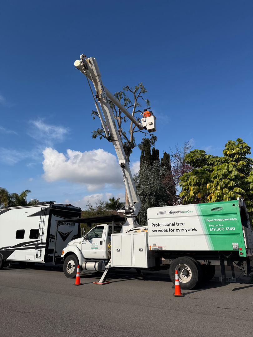 Higuera Tree Care - Chula Vista, CA