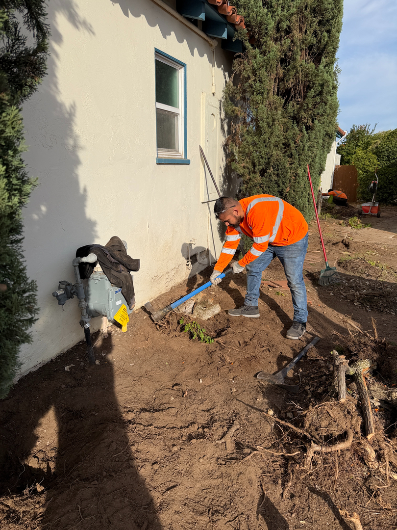 Higuera Tree Care - Chula Vista, CA