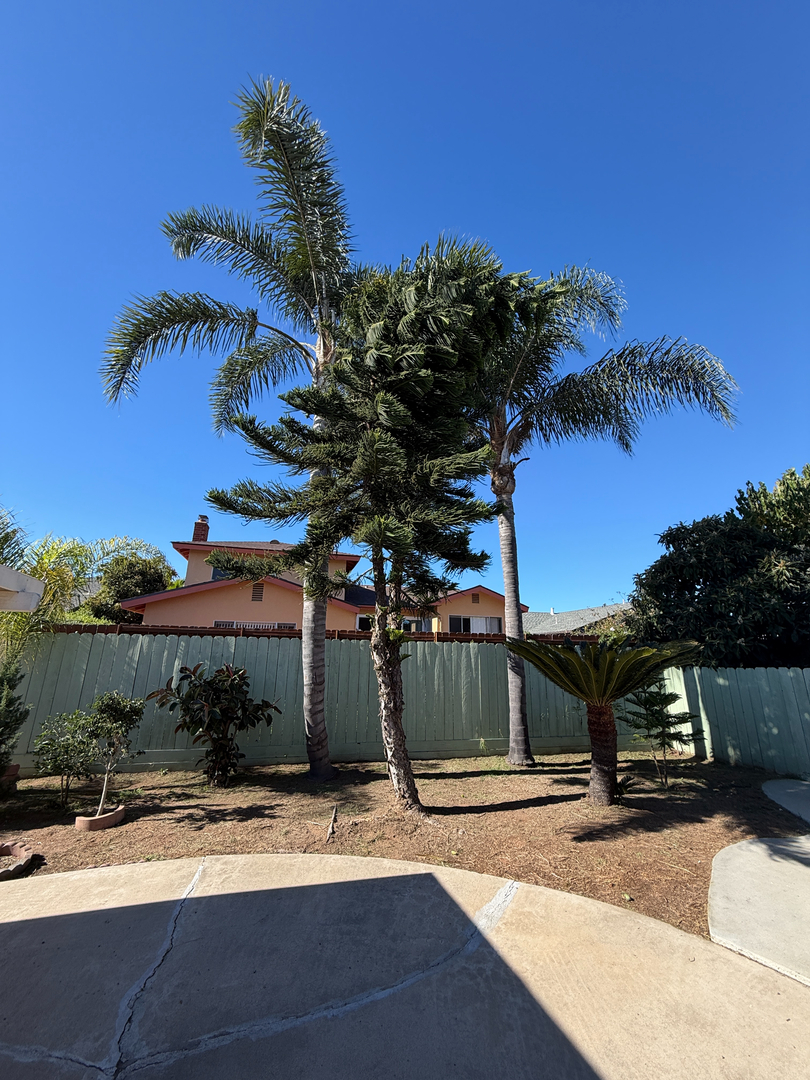 Higuera Tree Care - Chula Vista, CA