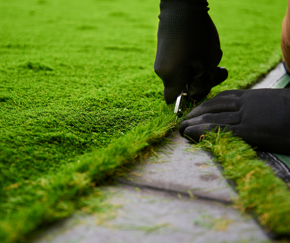 Hormiguitas Landscapes Image
