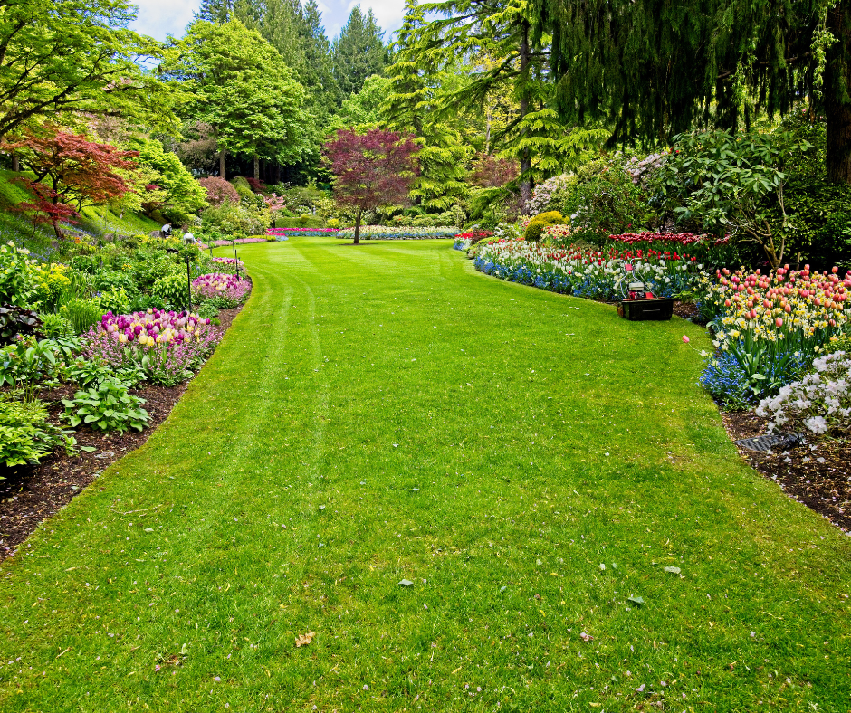 Hormiguitas Landscapes Image