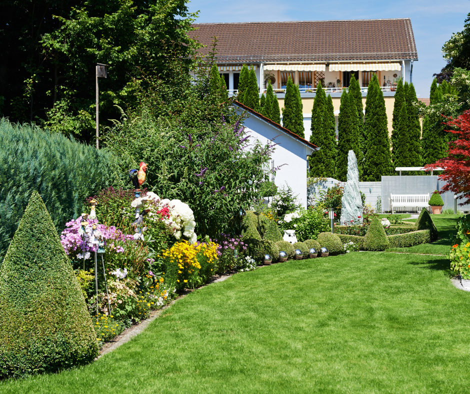 Hormiguitas Landscapes Image