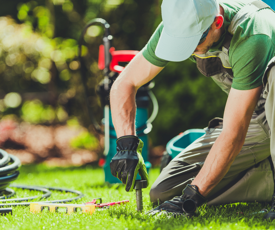 Hormiguitas Landscapes Image