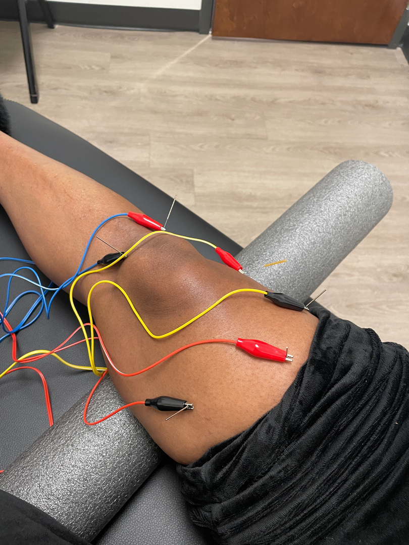 MINT Physical Therapy Image