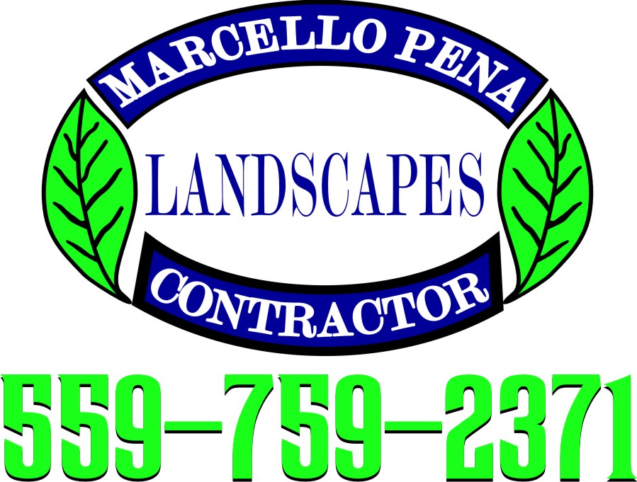 Marcello Pena Landscapes
