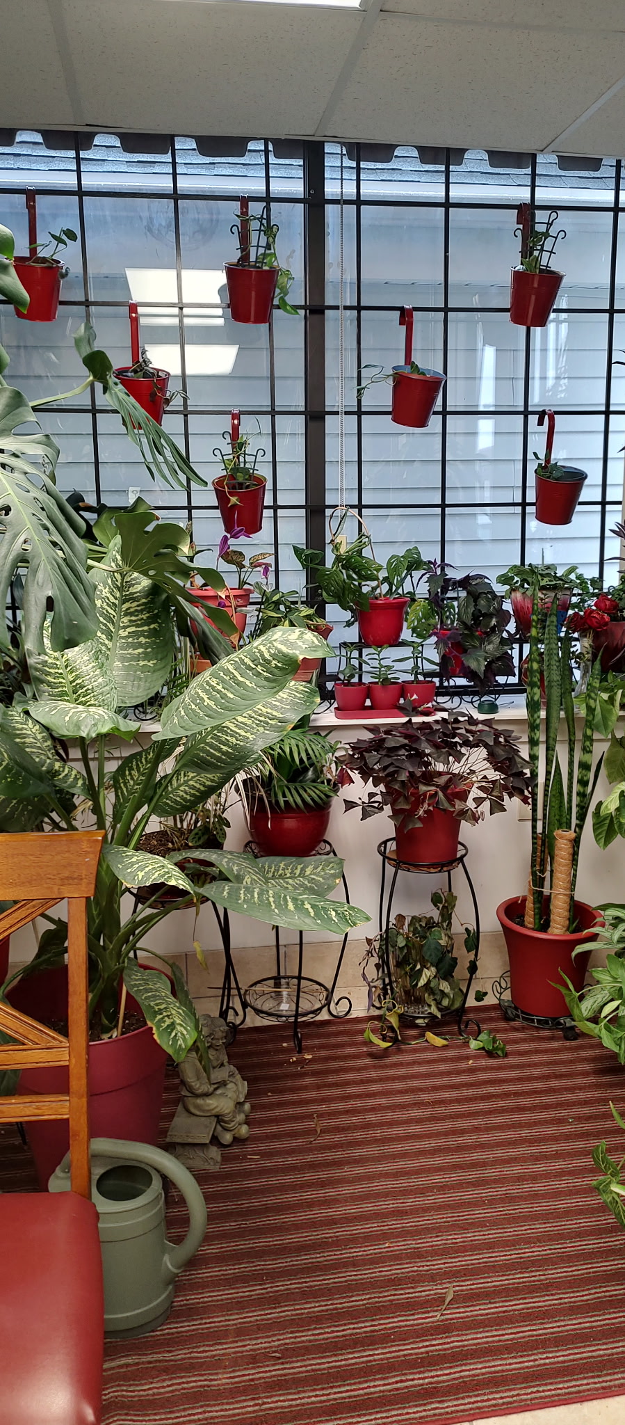 Beejays Security Doors Image