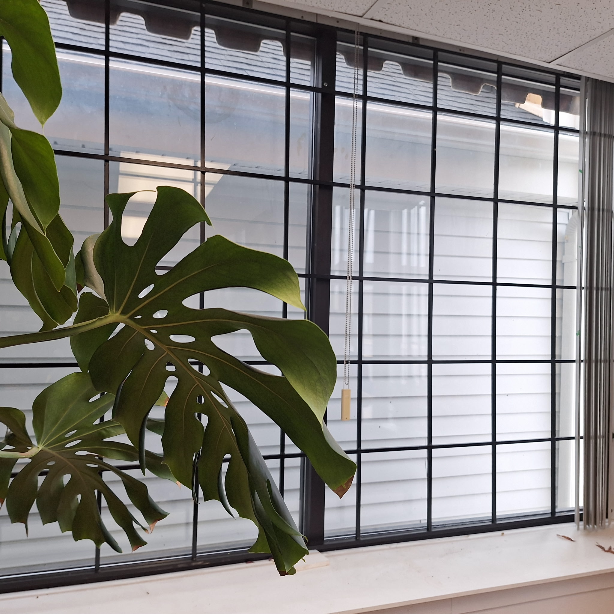 Beejays Security Doors Image