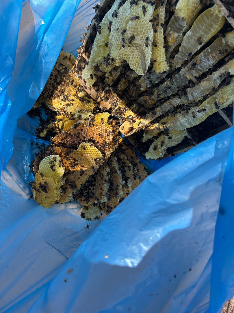 Fast Service Exterminating, Inc. - Waddell, AZ