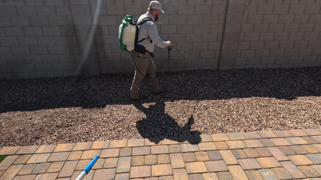 Fast Service Exterminating, Inc. - Waddell, AZ