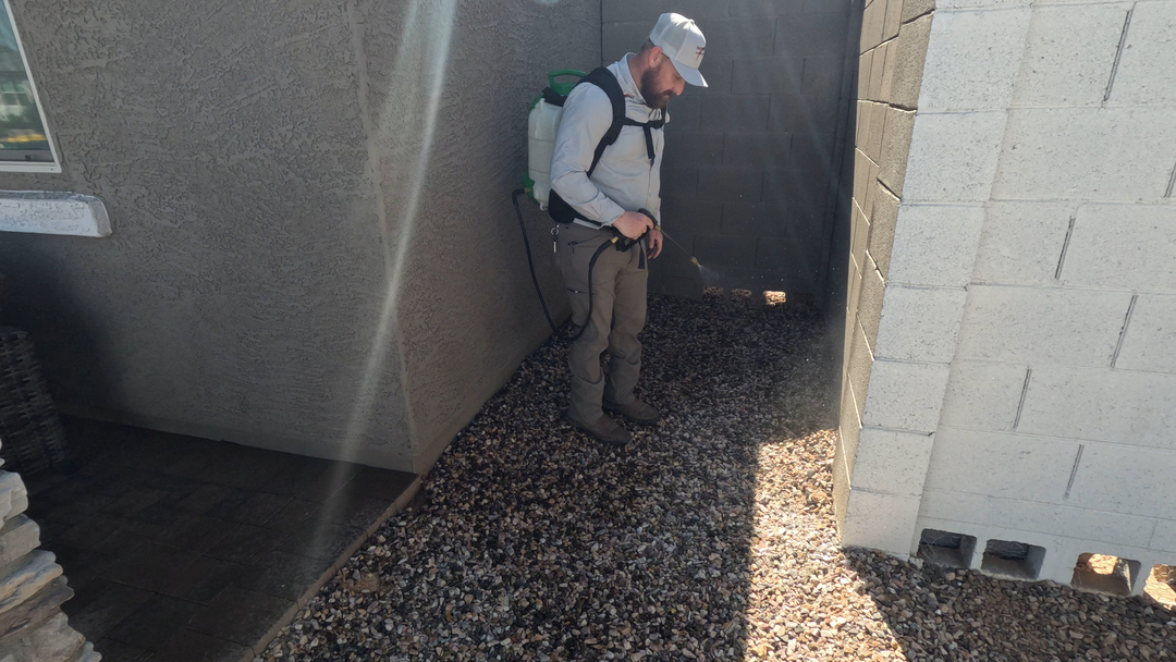 Fast Service Exterminating, Inc. - Waddell, AZ