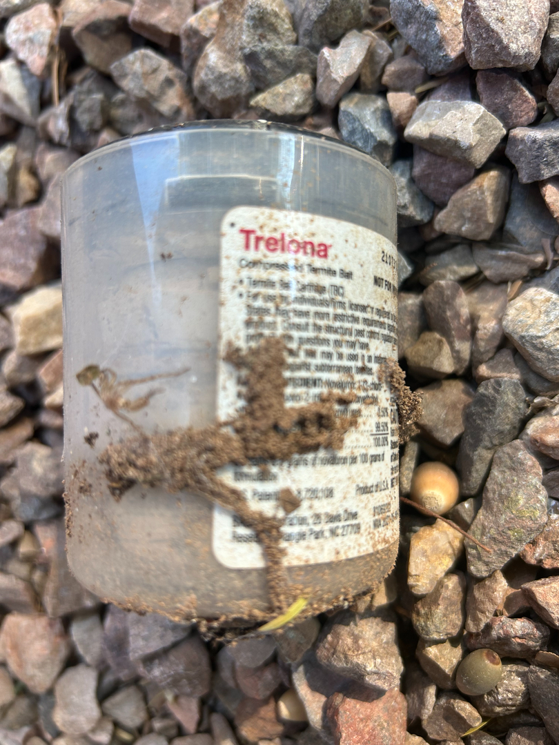 Fast Service Exterminating, Inc. - Waddell, AZ
