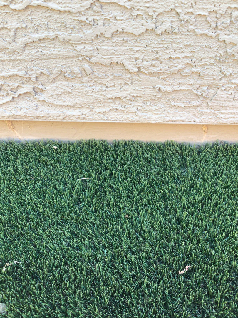 Fast Service Exterminating, Inc. - Waddell, AZ