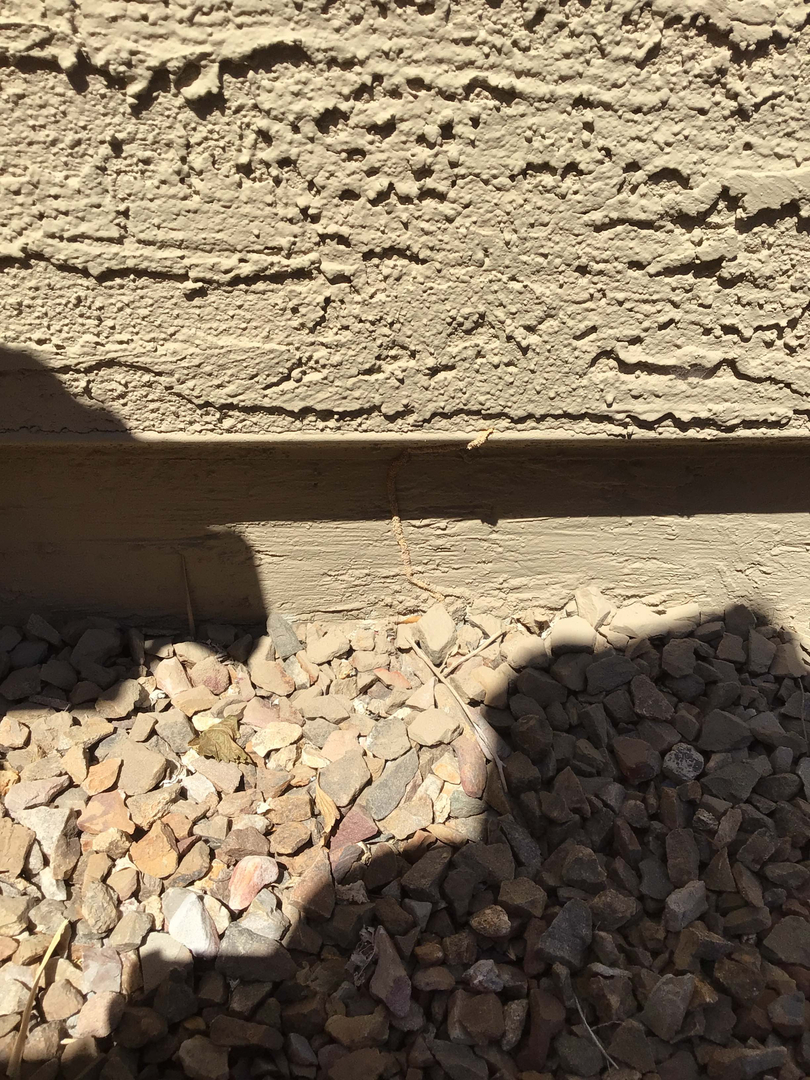 Fast Service Exterminating, Inc. - Waddell, AZ