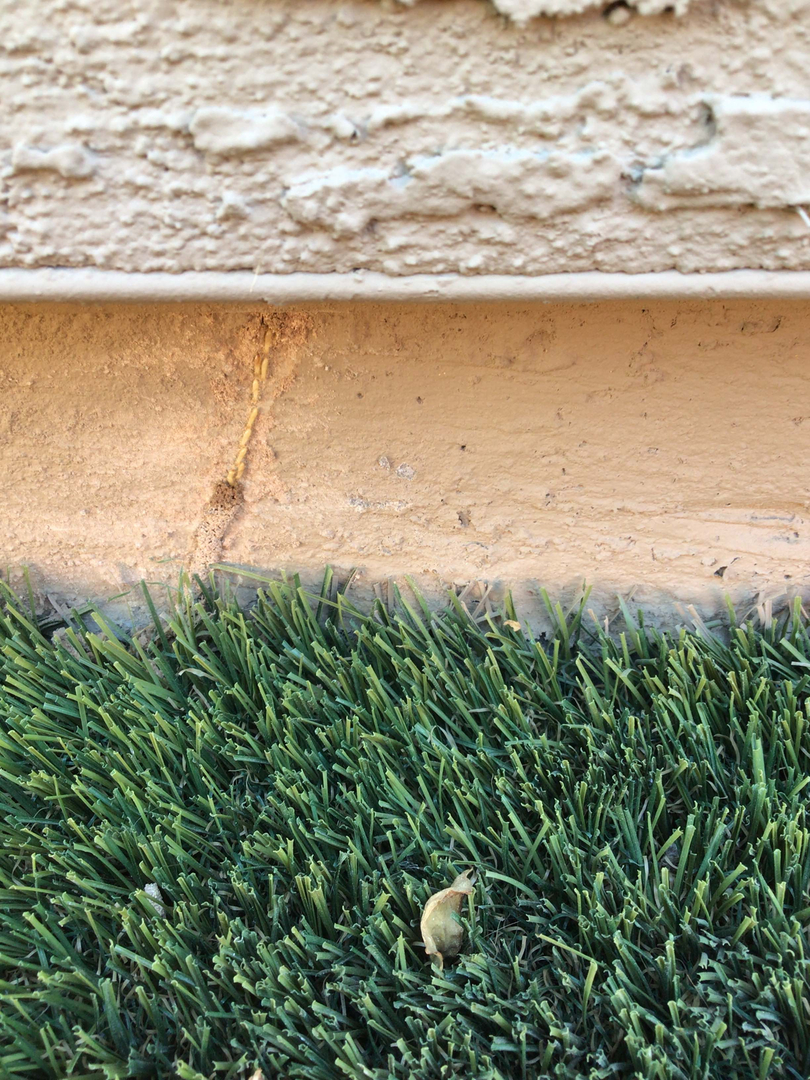 Fast Service Exterminating, Inc. - Waddell, AZ
