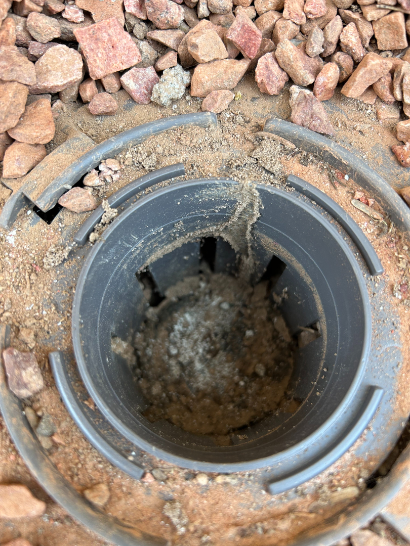 Fast Service Exterminating, Inc. - Waddell, AZ