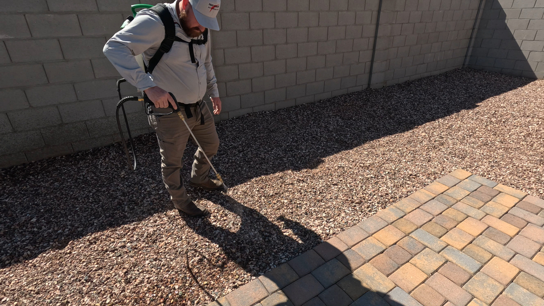 Fast Service Exterminating, Inc. - Waddell, AZ