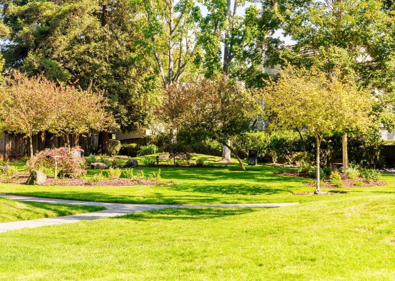 Del Conte's Landscaping - Fremont, CA