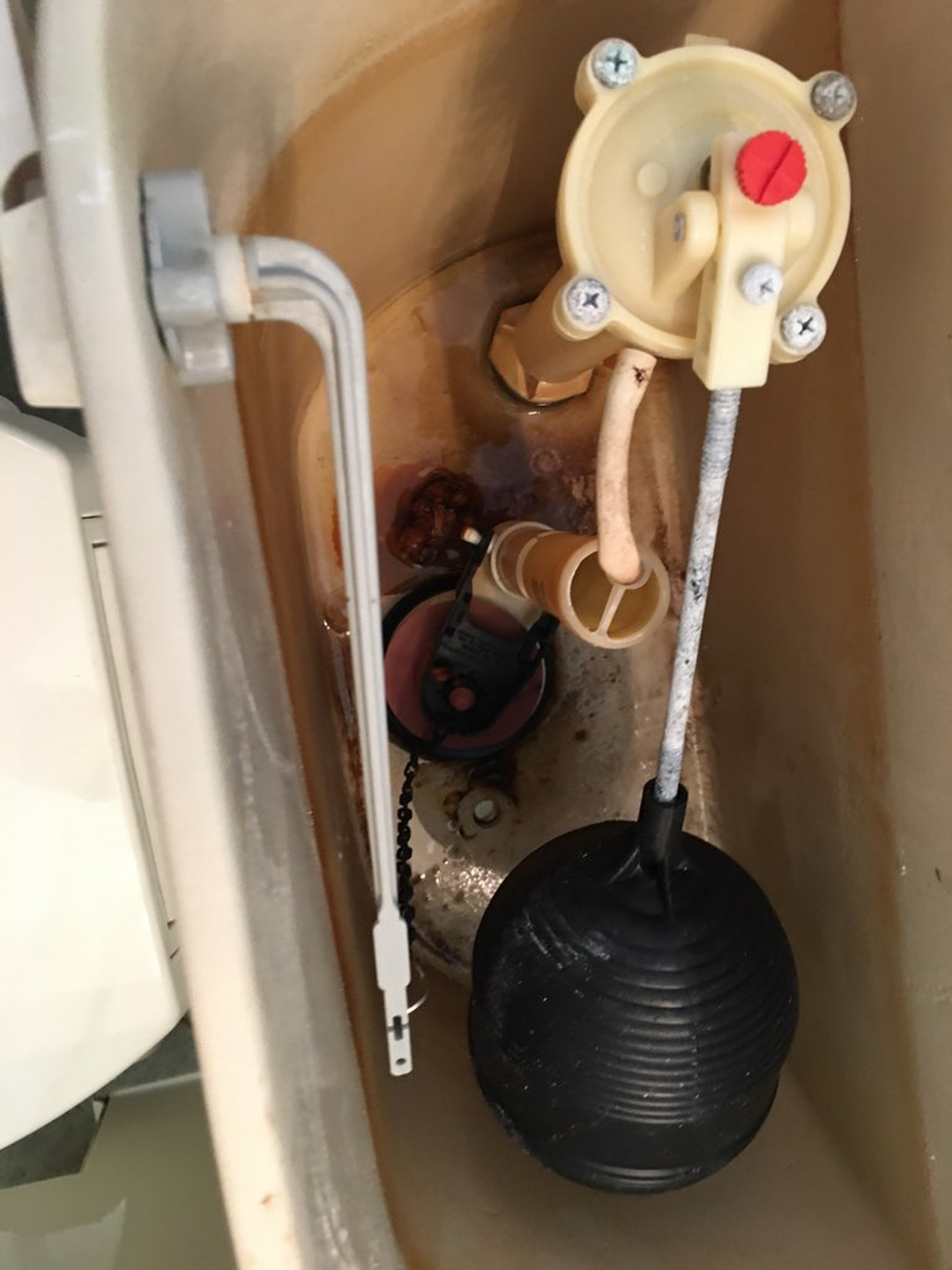 Alexandria Plumbing Pro Services Image