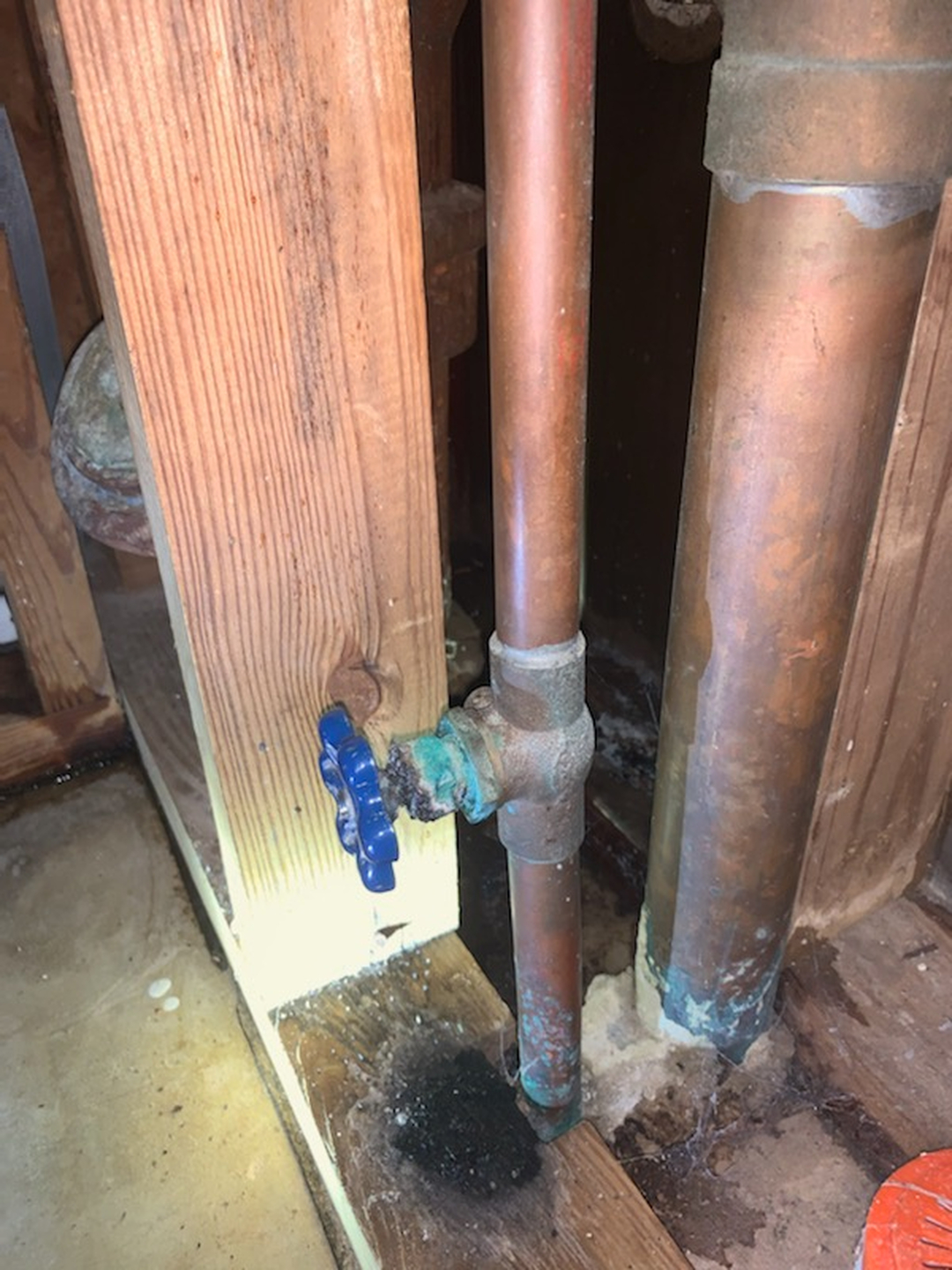 Alexandria Plumbing Pro Services Image