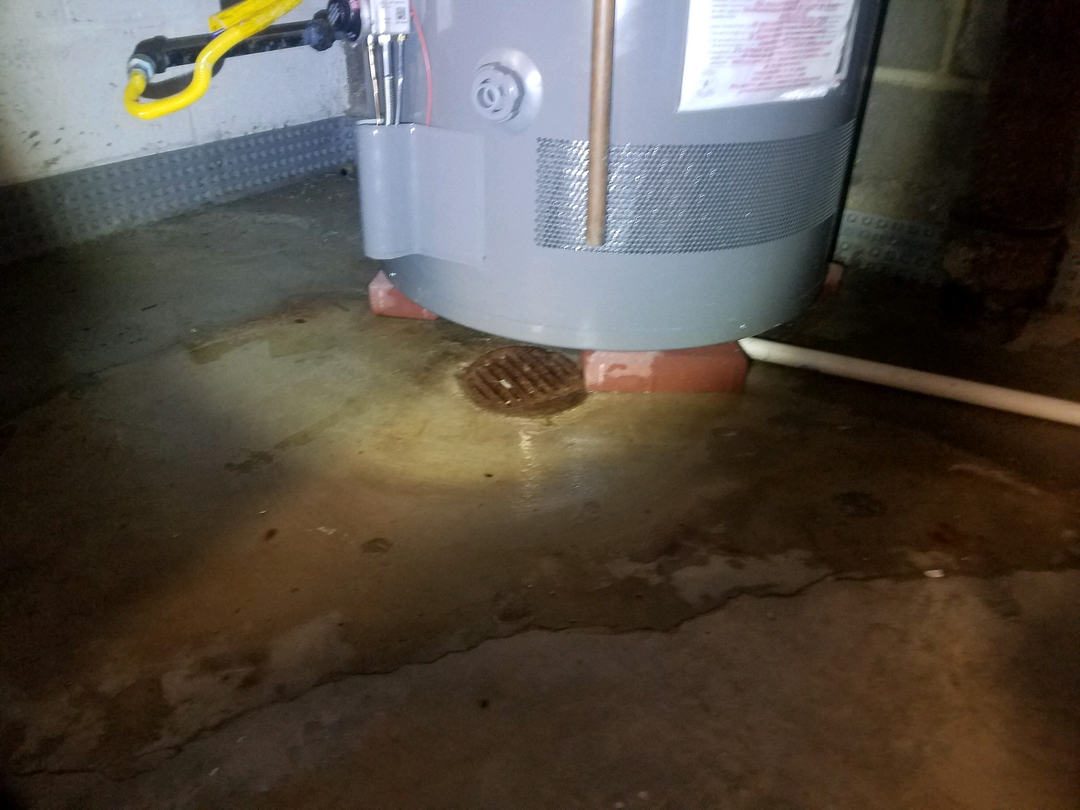 Alexandria Plumbing Pro Services Image