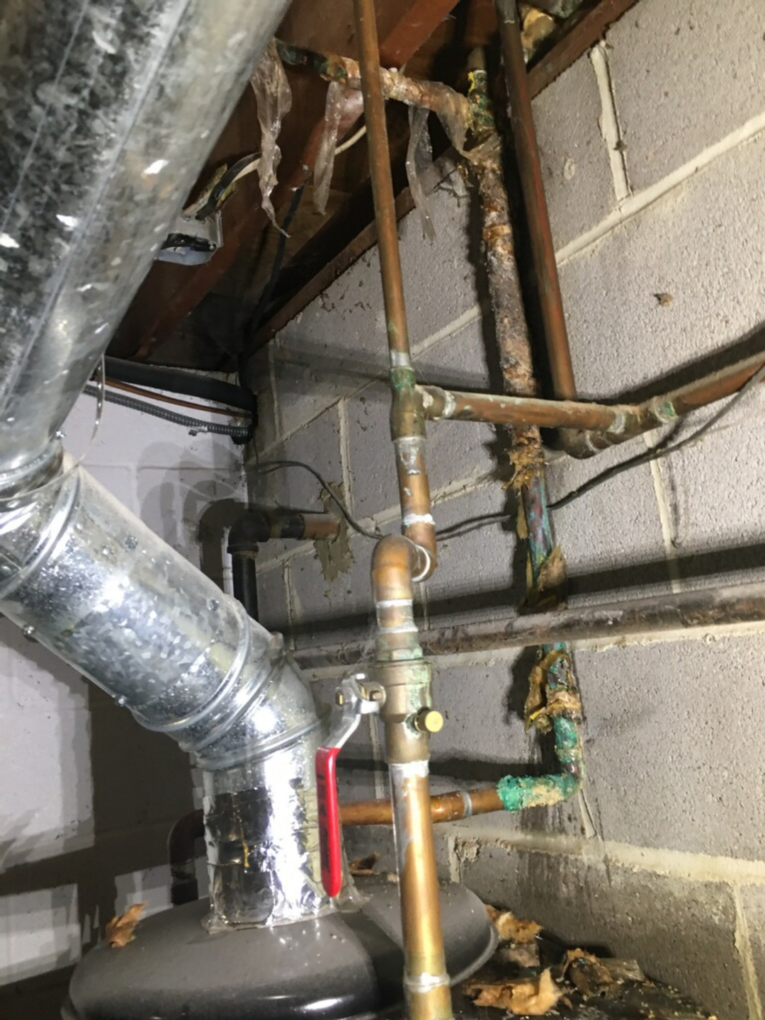 Alexandria Plumbing Pro Services Image