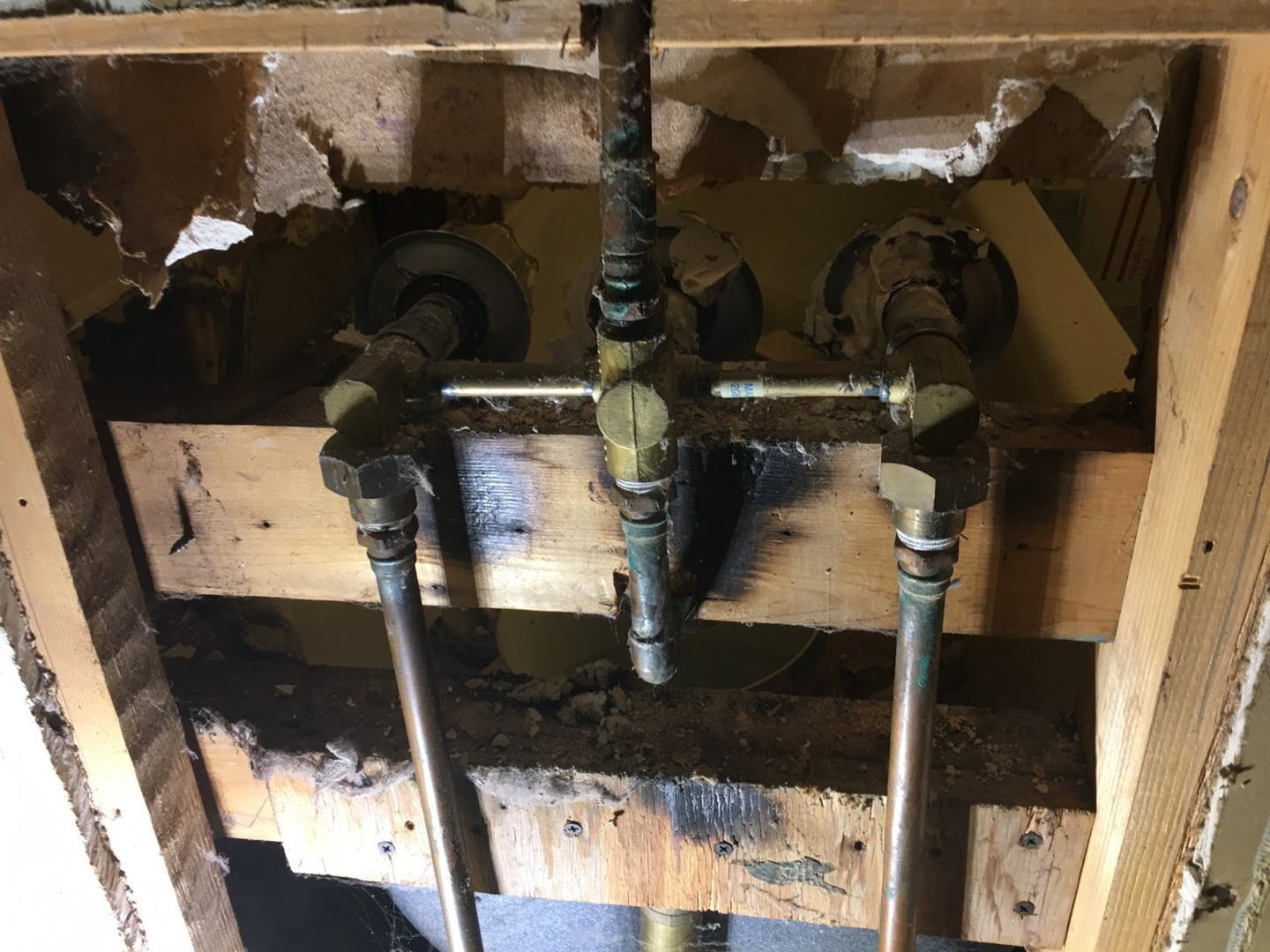 Alexandria Plumbing Pro Services Image