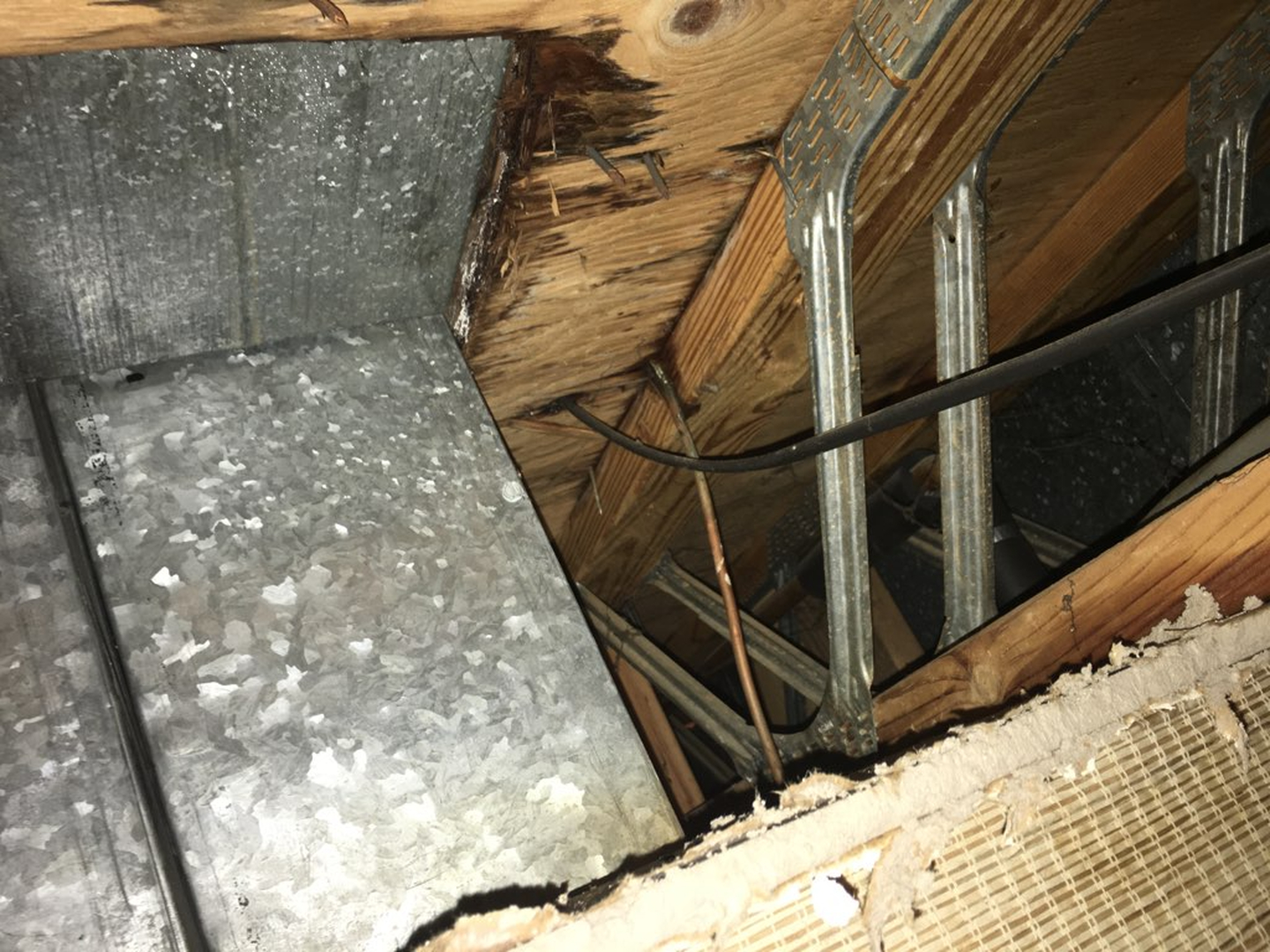 Alexandria Plumbing Pro Services Image