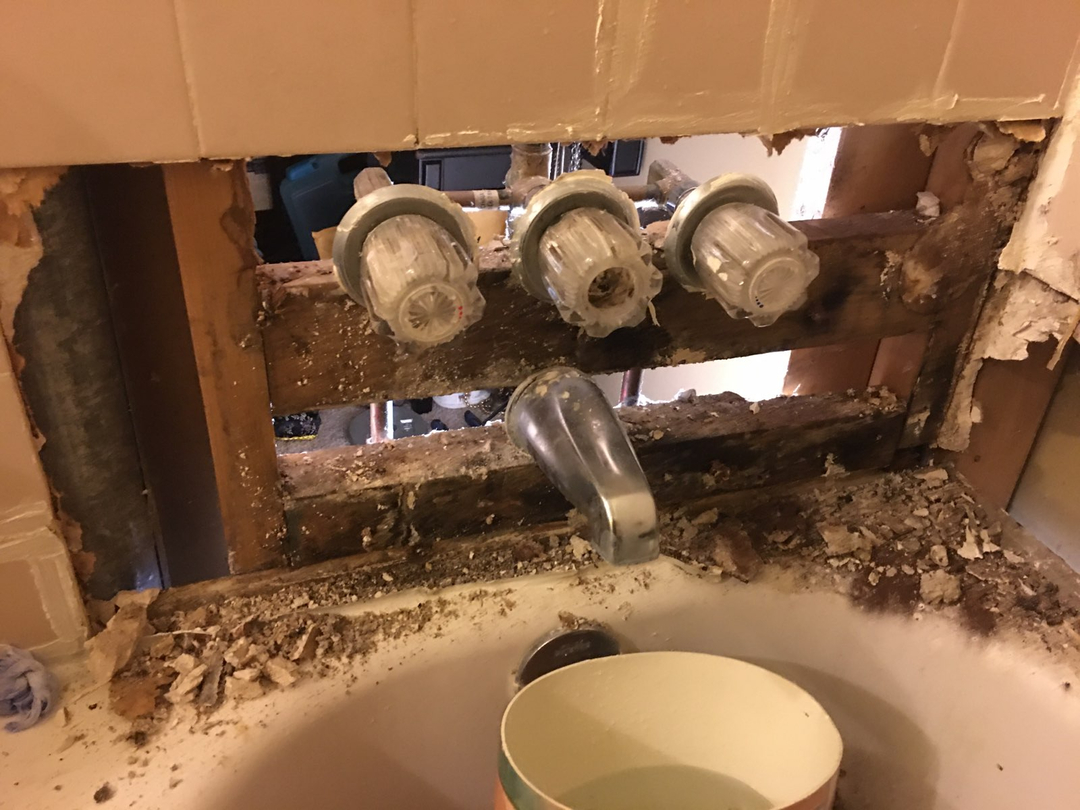 Alexandria Plumbing Pro Services Image