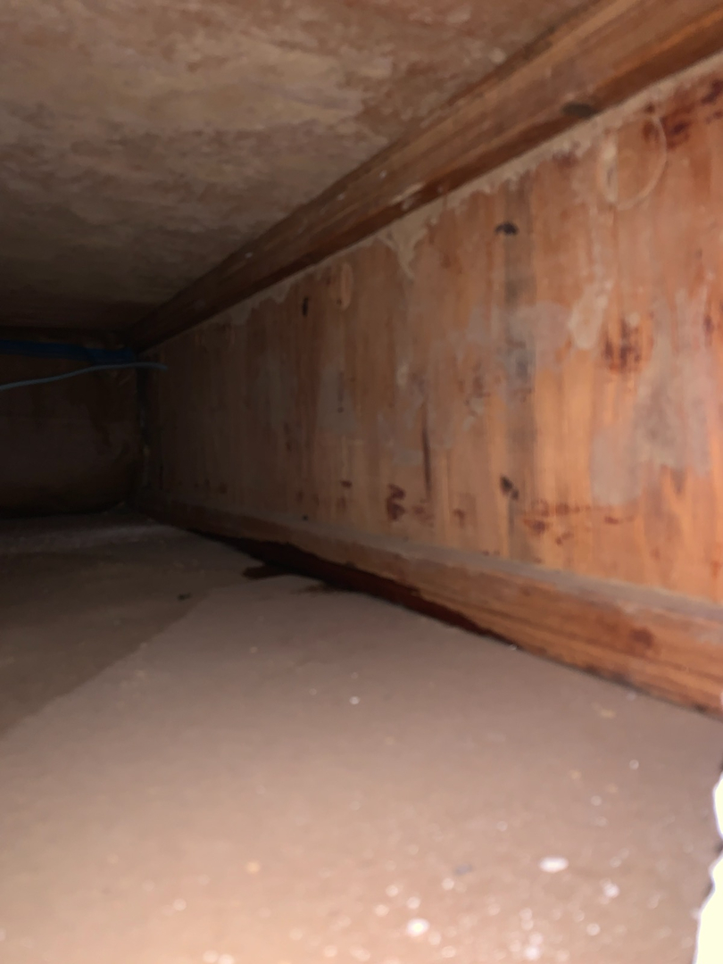 Alexandria Plumbing Pro Services Image