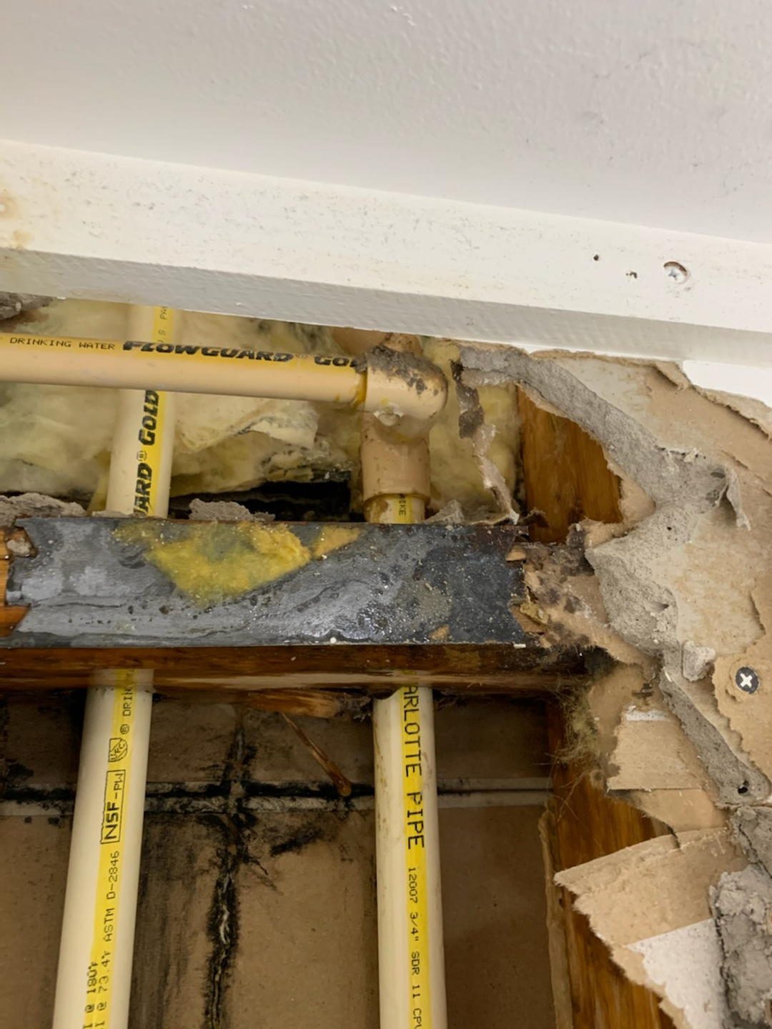 Alexandria Plumbing Pro Services Image