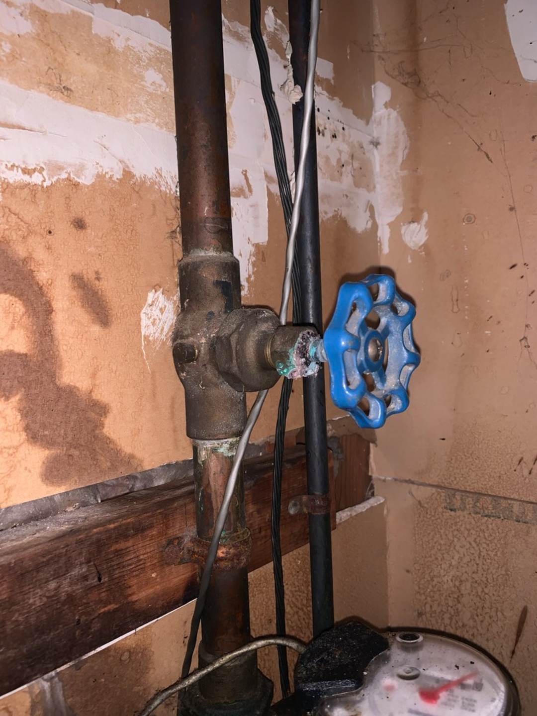 Alexandria Plumbing Pro Services Image