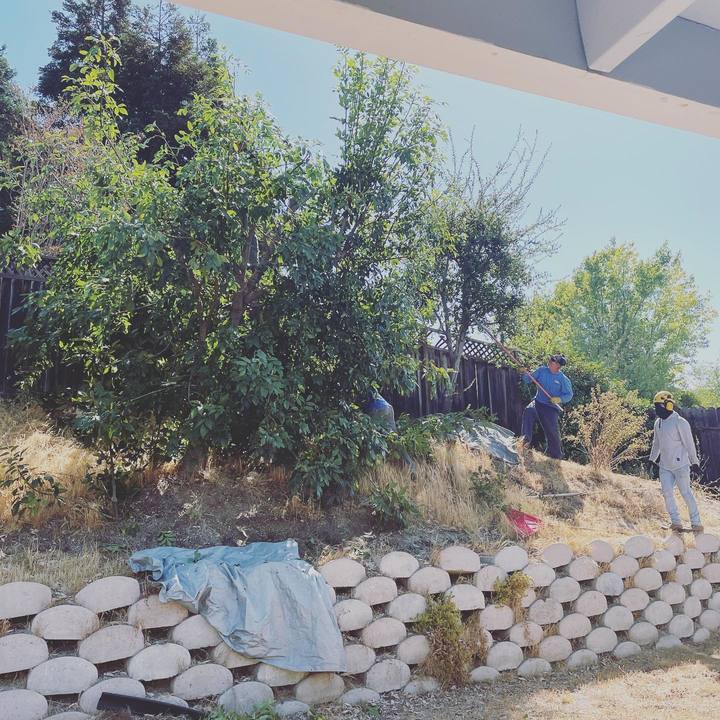 Stewart's Tree Service Inc - Antioch, CA