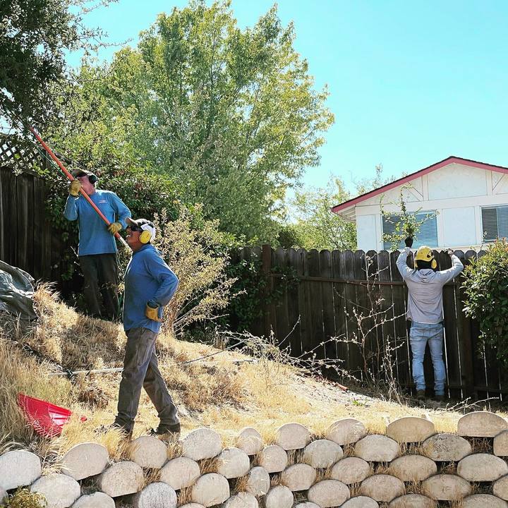 Stewart's Tree Service Inc - Antioch, CA