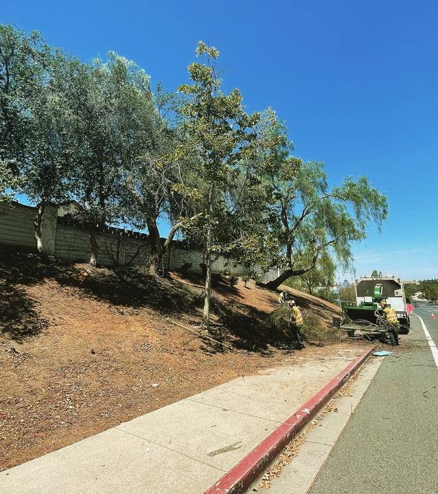 Stewart's Tree Service Inc - Antioch, CA
