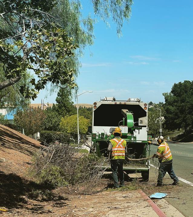 Stewart's Tree Service Inc - Antioch, CA