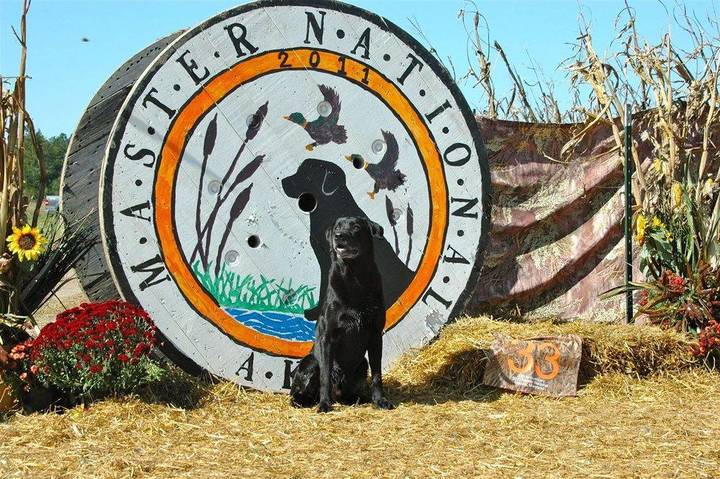 Silver State Kennels - Reno, NV