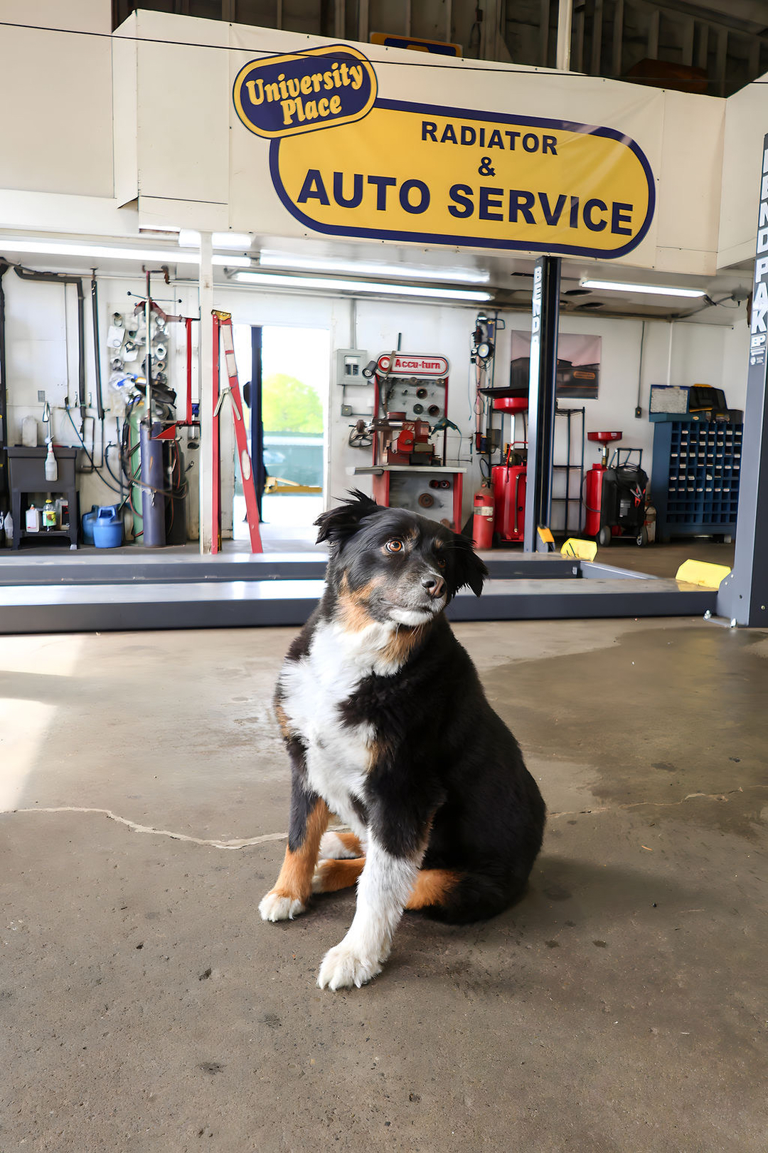 University Place Radiator and Auto Service - Tacoma, WA