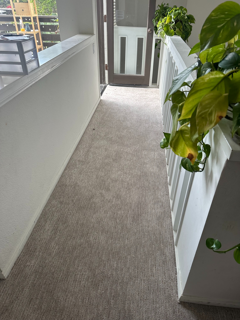 That Guy Construction & Maintenance Image