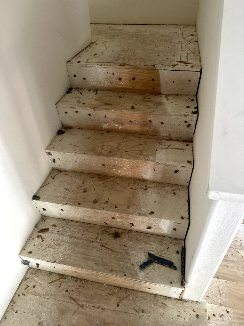 That Guy Construction & Maintenance Image