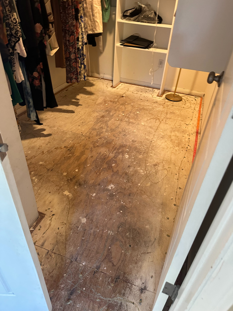 That Guy Construction & Maintenance Image