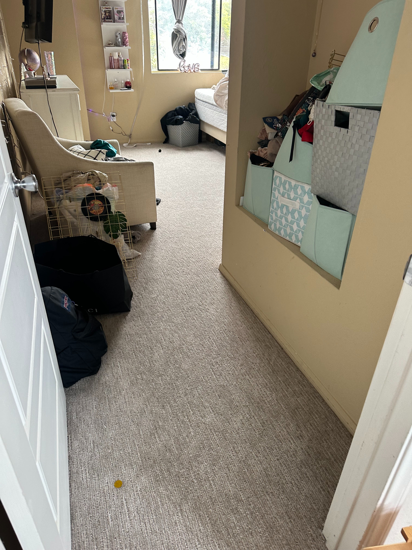 That Guy Construction & Maintenance Image