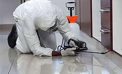 M9 Pest Control - Aurora, CO