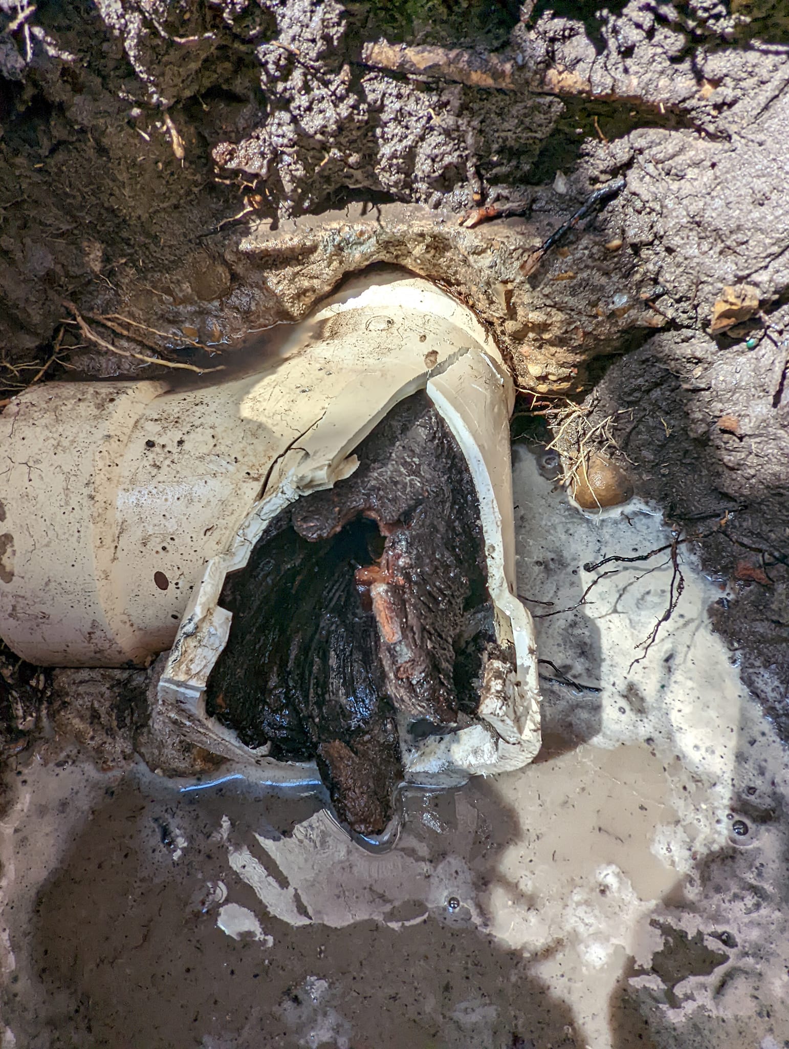 Drainco Image