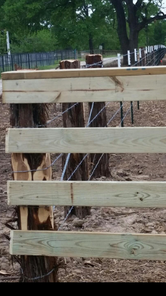 Moreno's Fencing Image